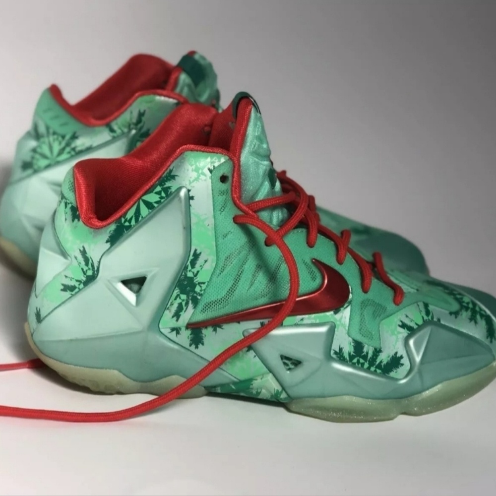 Nike basketball sneakers